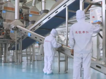 2025年的第一個月，承德亞歐果仁有限公司在山杏產(chǎn)業(yè)的道路上持續(xù)奮進，展現(xiàn)出蓬勃的發(fā)展活力。